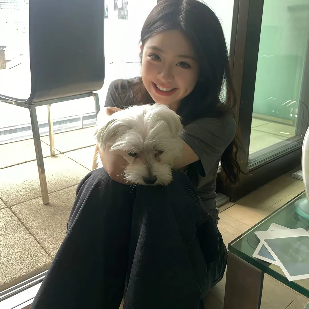 黑帮终结令