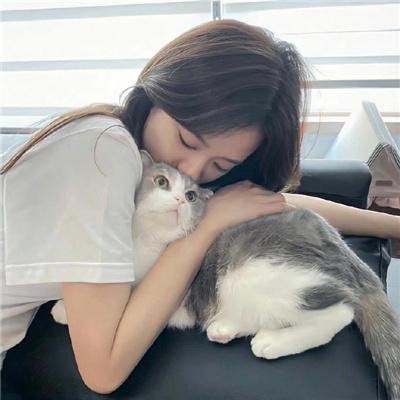 愤怒的蝴蝶